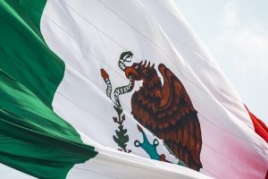 the flag of Mexico blowing in the wind